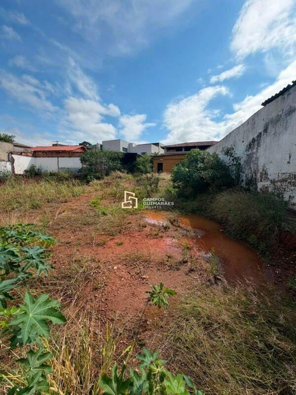 Lote, Teixeira Dias