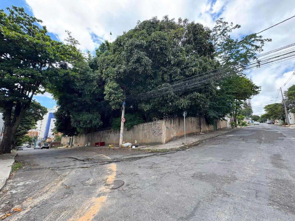 Lote, São Luiz (pampulha), 0 Quarto, 0 Vaga