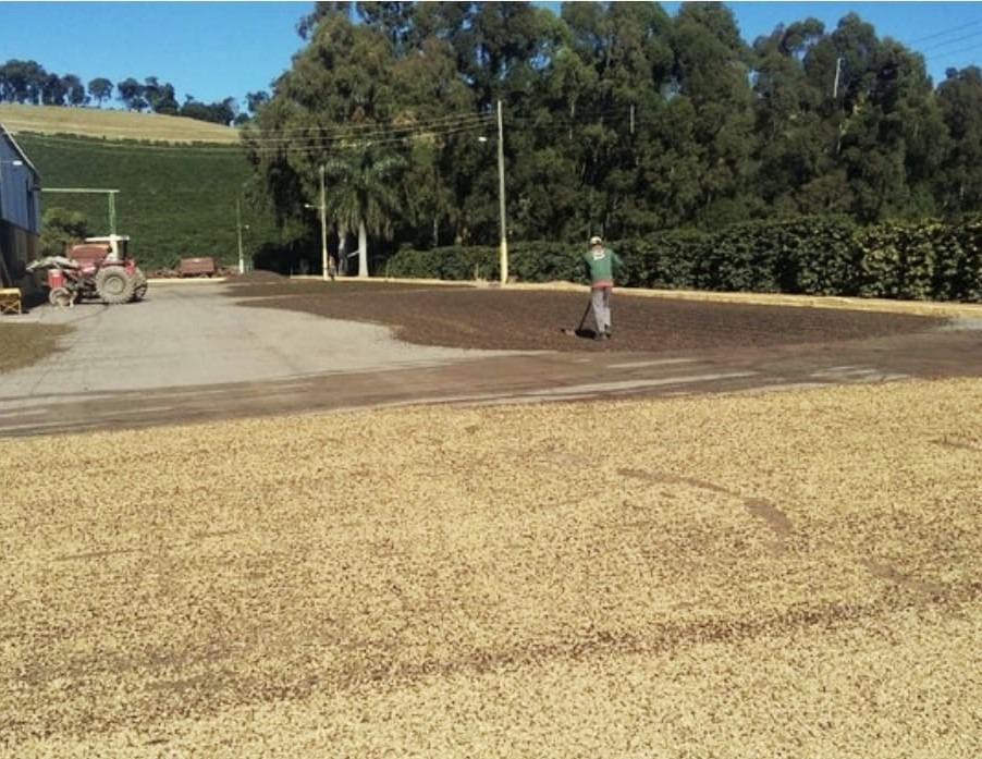 Fazenda, Centro, 3 Quartos, 1 Vaga, 1 Suíte