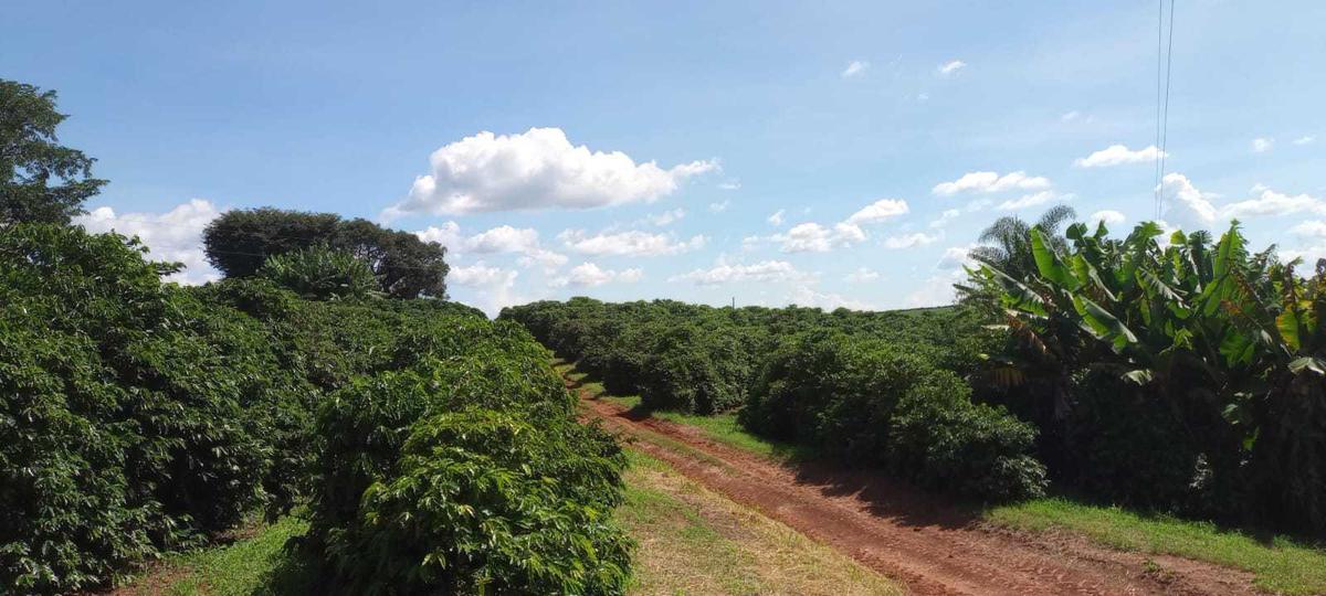 Fazenda, Zona Rural, 3 Quartos, 0 Vaga