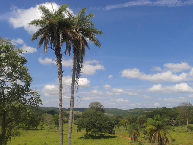 Lote, Sobradinho