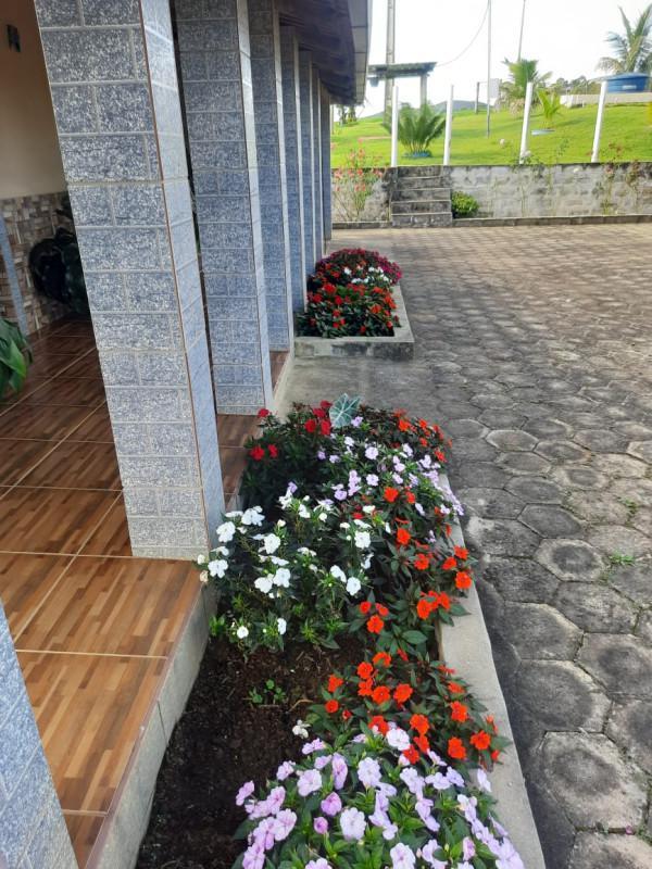 Fazenda, Centro, 4 Quartos, 0 Vaga