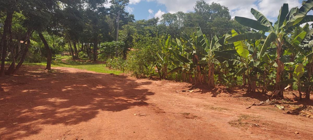 Fazenda, Centro, 6 Quartos, 10 Vagas, 1 Suíte