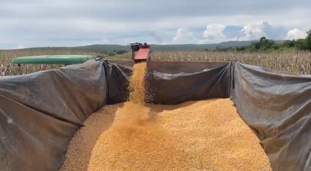 Fazenda, Zona Rural, 3 Quartos, 0 Vaga