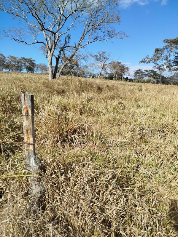 Fazenda, Zona Rural, 0 Quarto, 0 Vaga