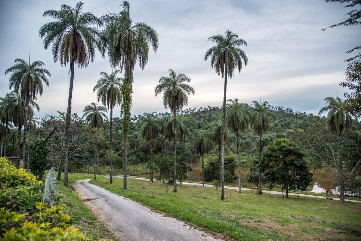 Casa, Caiapós, 5 Quartos, 10 Vagas, 5 Suítes