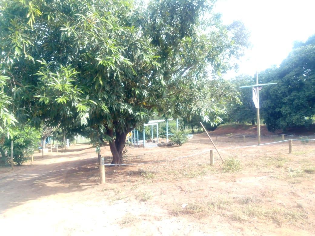 Fazenda, Centro