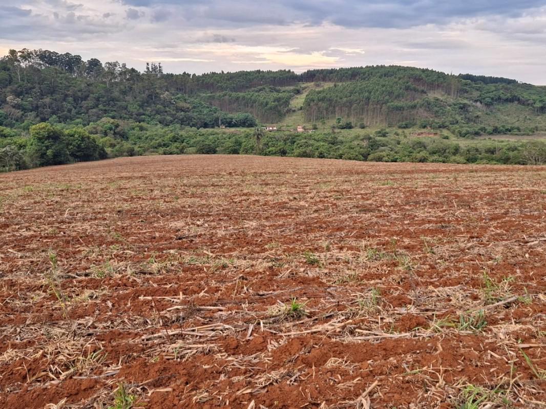 Fazenda, Zona Rural, 0 Quarto, 0 Vaga