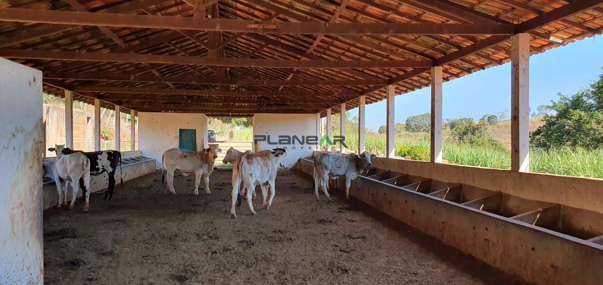 Fazenda, Centro, 2 Quartos, 0 Vaga