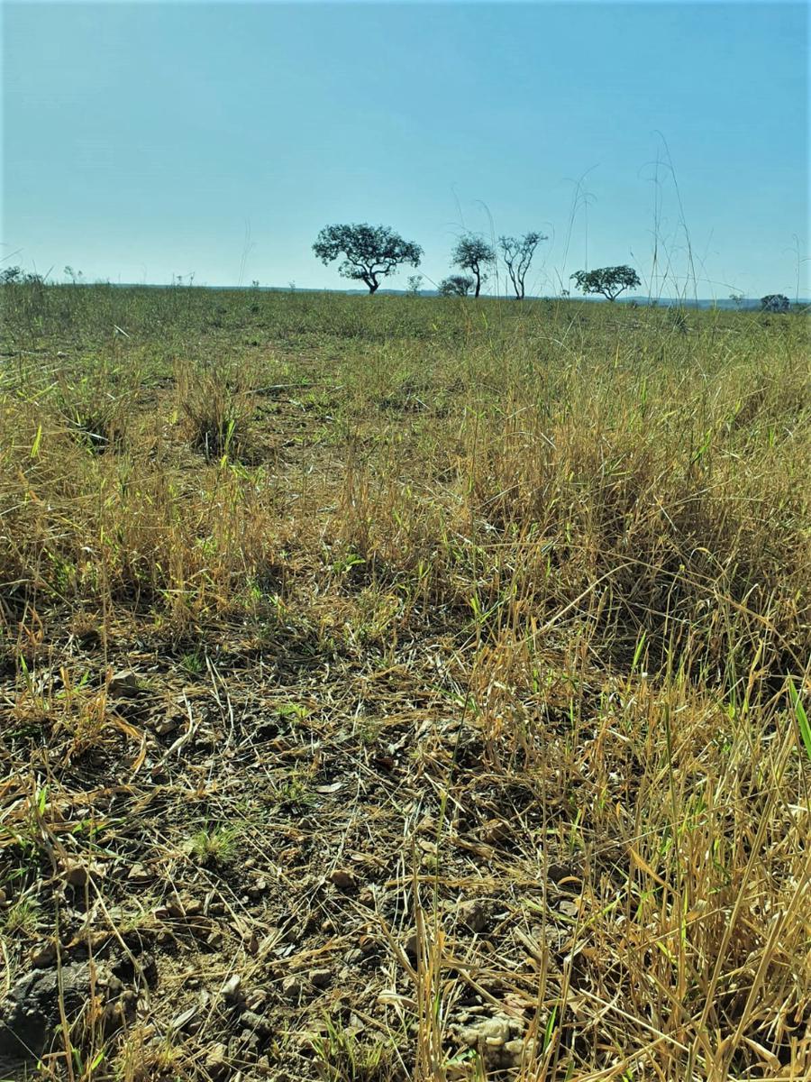 Fazenda, Centro, 1 Quarto, 0 Vaga