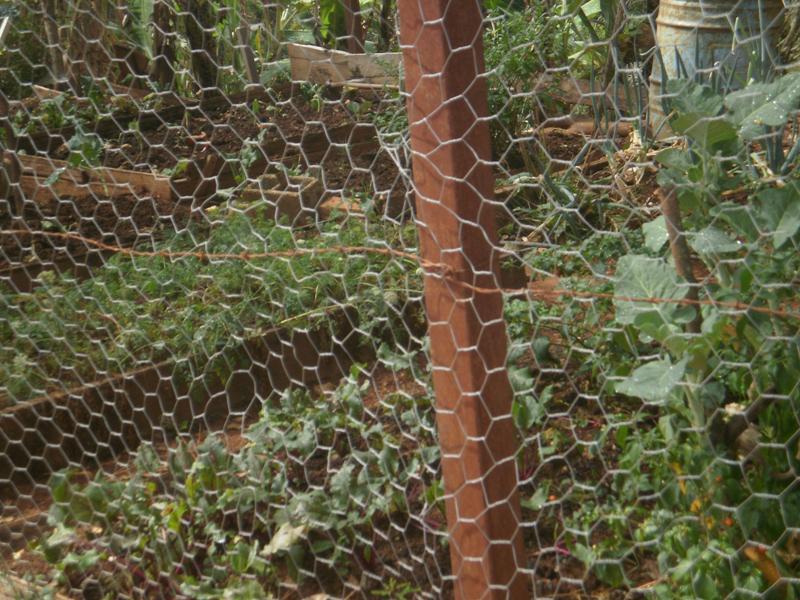Fazenda, São José, 2 Quartos, 0 Vaga, 2 Suítes