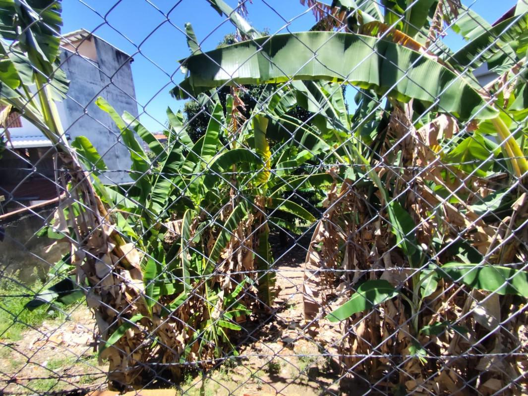 Lote, Planalto, 0 Quarto, 0 Vaga