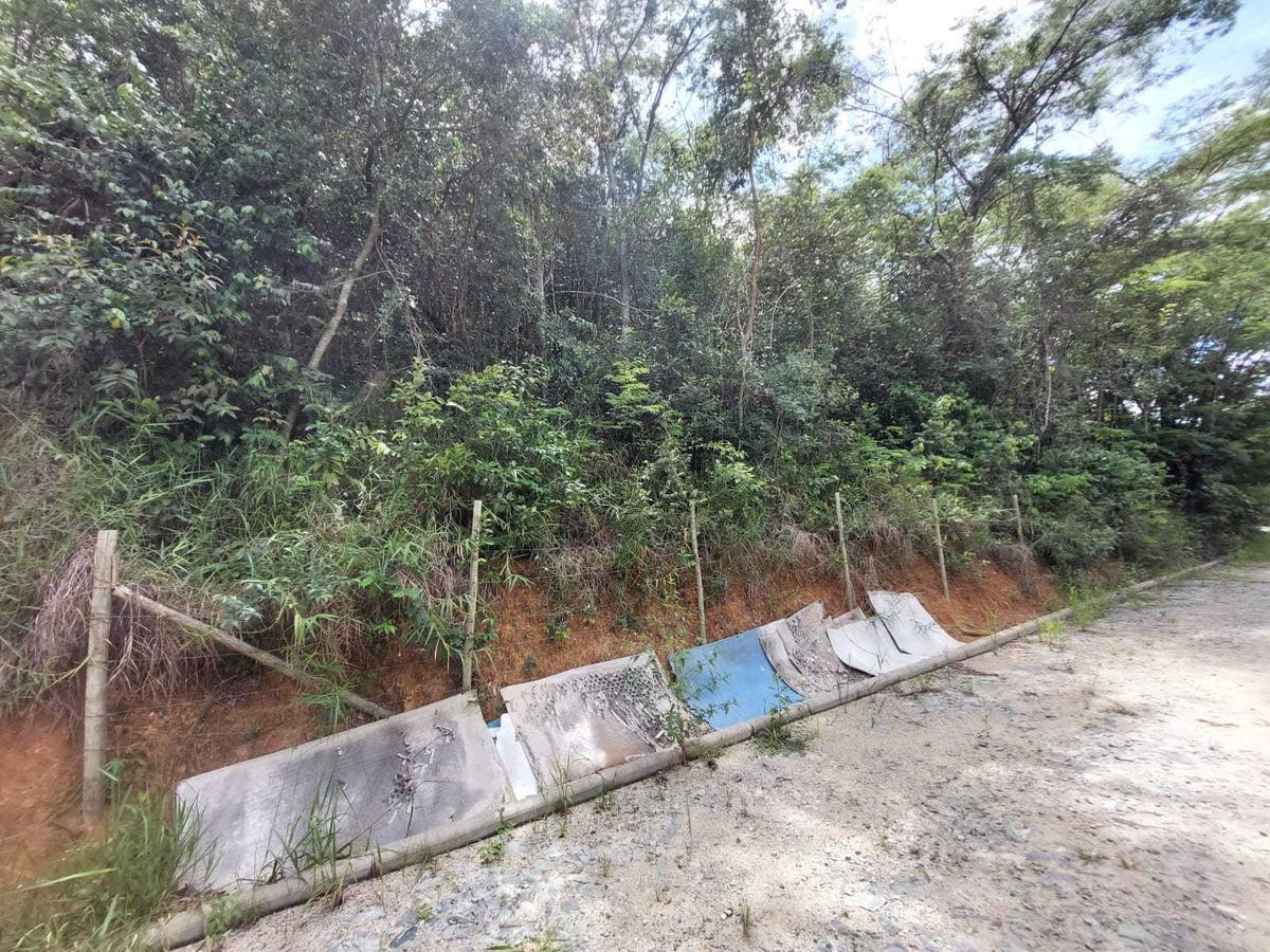 Lote, Bonanza, 0 Quarto, 0 Vaga