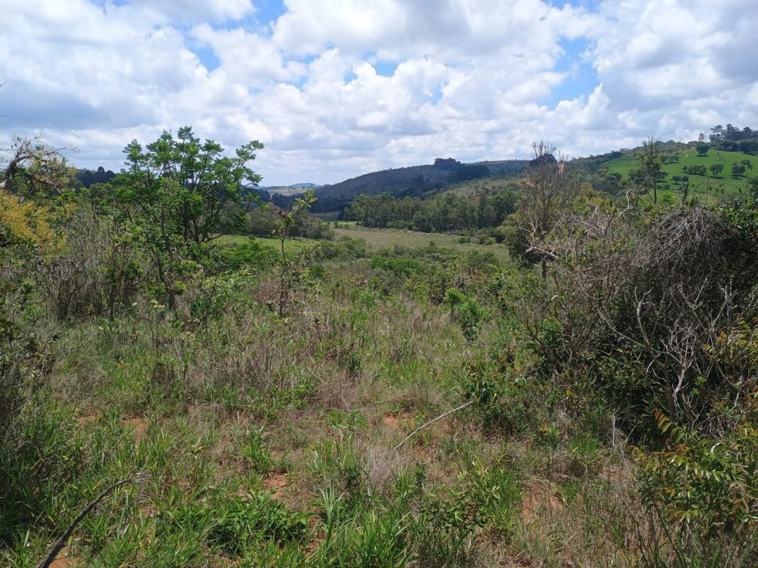 Fazenda, Zona Rural, 0 Quarto, 0 Vaga