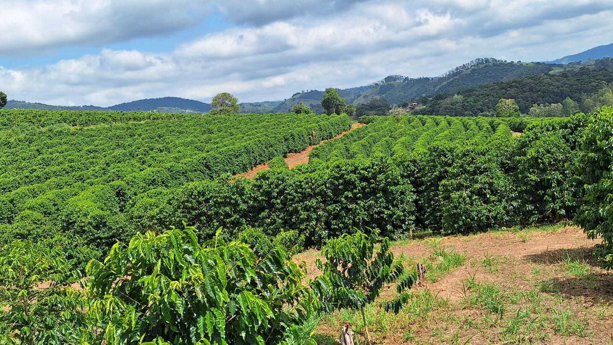 Fazenda, Zona Rural, 3 Quartos, 0 Vaga