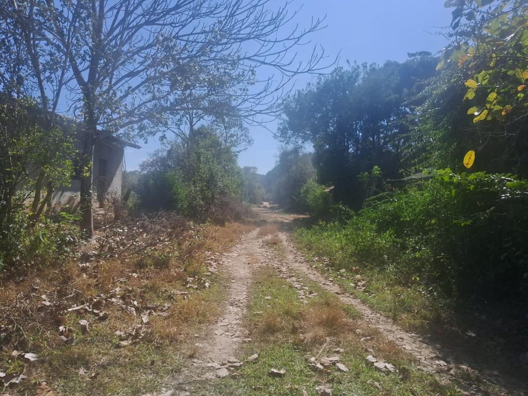 Lote, Parque Lagoa das Flores, 0 Quarto, 0 Vaga