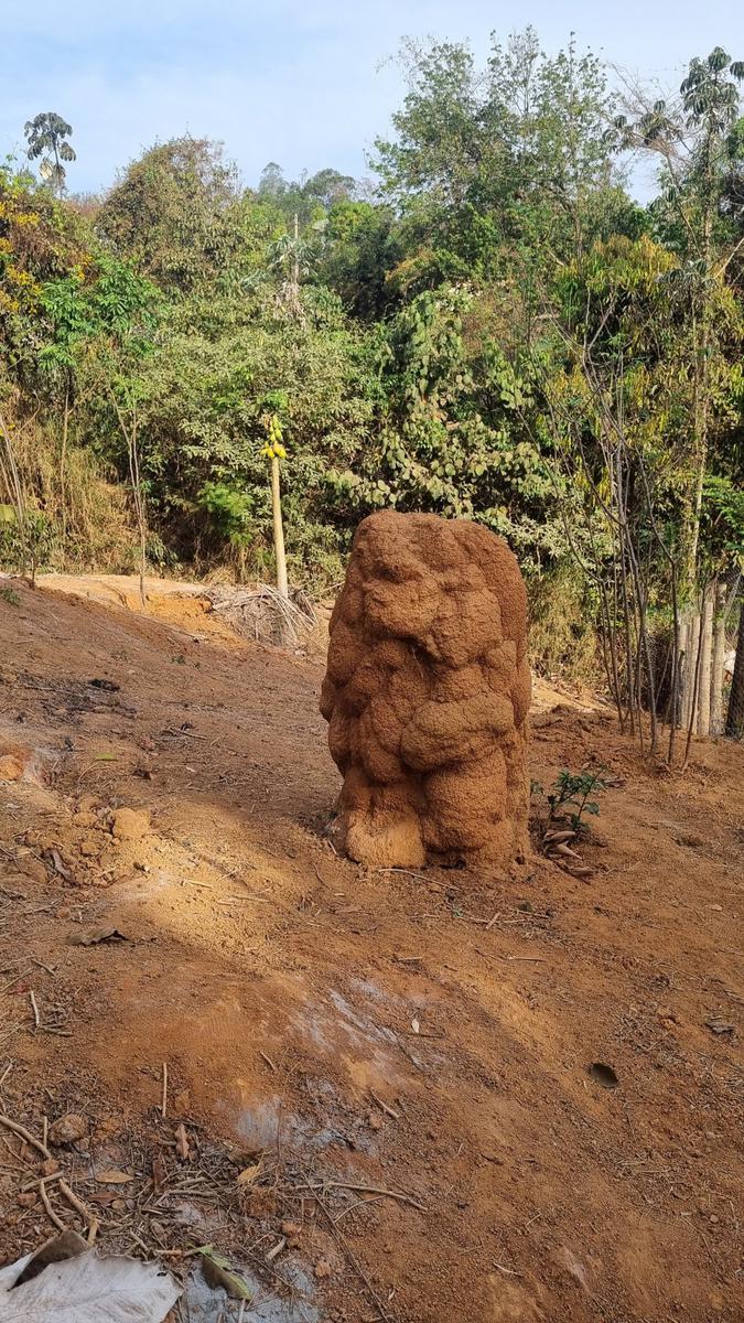Fazenda, Mario Campos, 3 Quartos, 0 Vaga