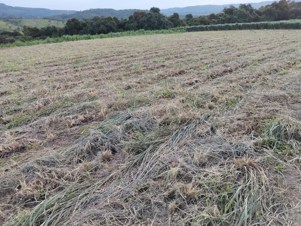 Fazenda, Zona Rural, 4 Quartos, 2 Vagas