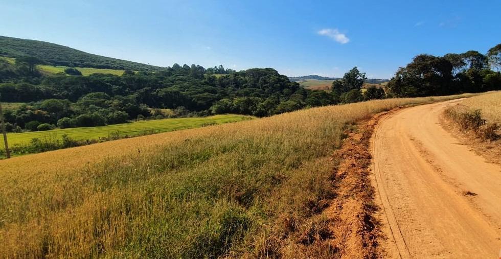 Fazenda, Zona Rural, 6 Quartos, 0 Vaga, 2 Suítes