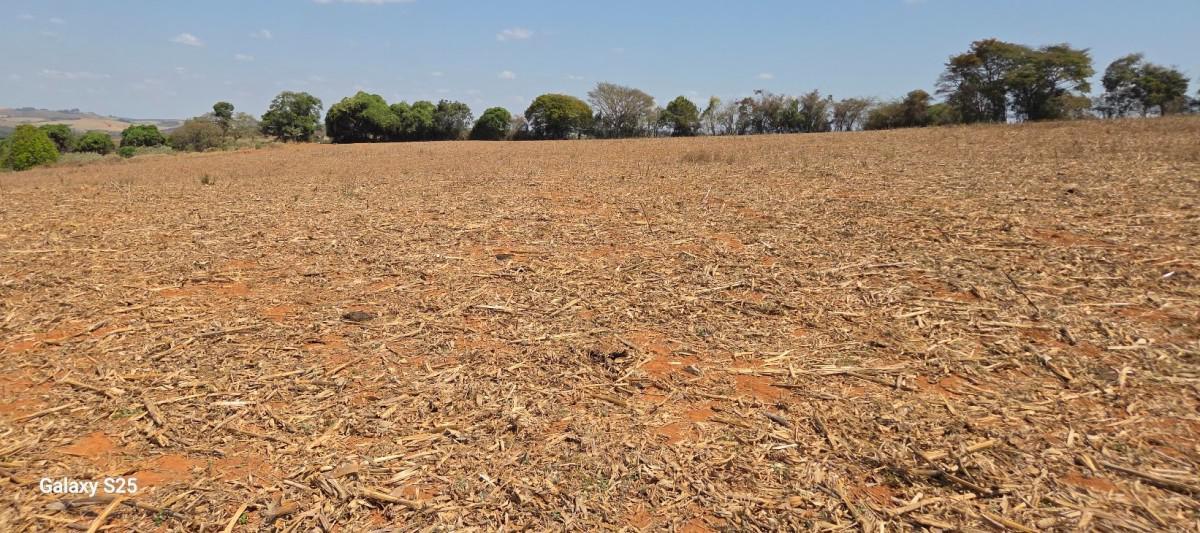 Fazenda, Centro, 1 Quarto, 21 Vagas, 1 Suíte