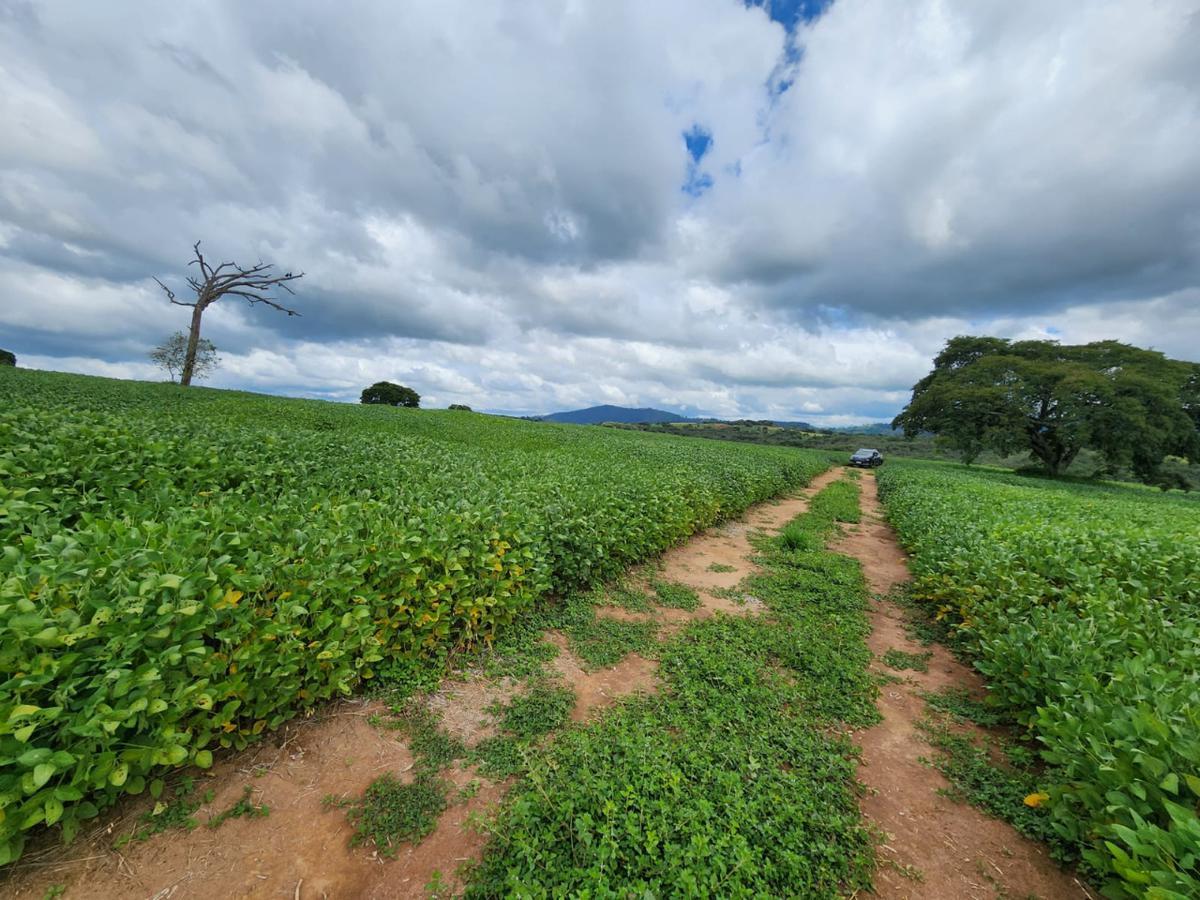 Fazenda, Centro, 1 Quarto, 1 Vaga, 1 Suíte