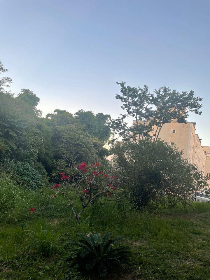 Cobertura, Juliana, 2 Quartos, 1 Vaga, 0 Suíte