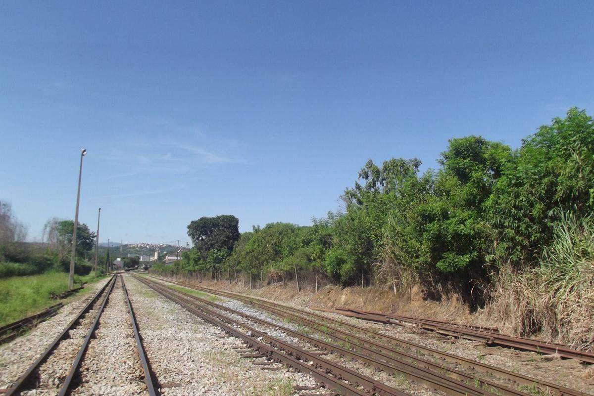 Lote, Vila Olga, 0 Quarto, 0 Vaga