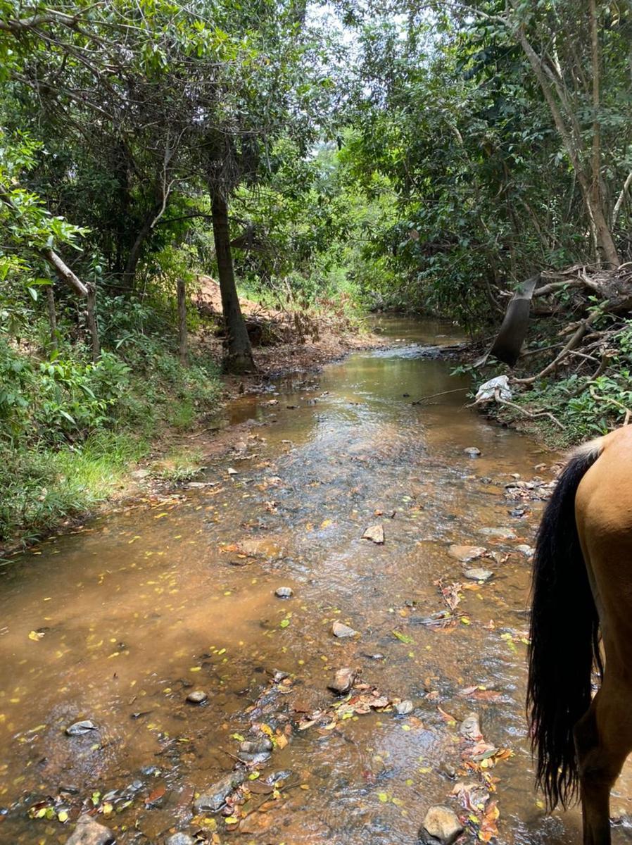 Fazenda, Centro, 4 Quartos, 2 Vagas