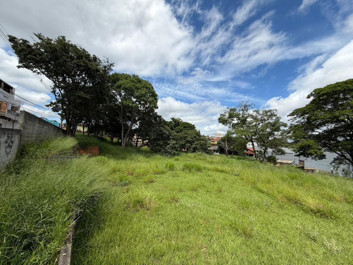 Lote, Veneza, 0 Quarto, 0 Vaga