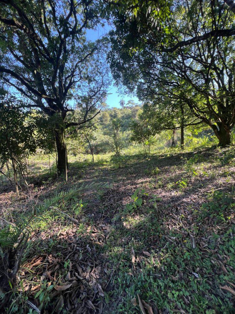 Fazenda, Quintas da Lagoa, 0 Quarto, 0 Vaga