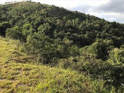 Lote, Nacional, 0 Quarto, 0 Vaga