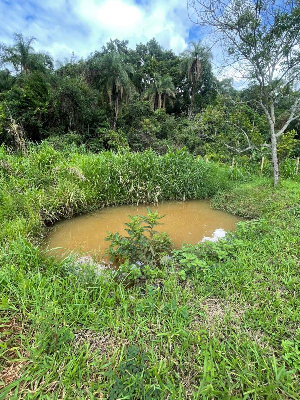 Fazenda, Mario Campos, 0 Quarto, 0 Vaga