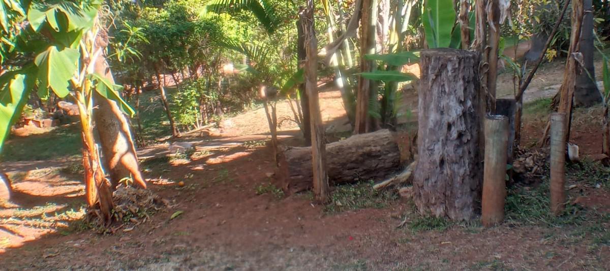 Fazenda, Chácara Novo Horizonte, 3 Quartos, 15 Vagas, 1 Suíte