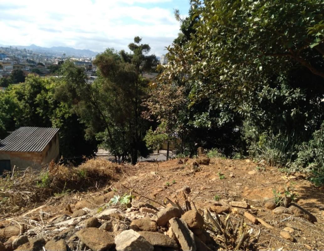 Lote, Riacho das Pedras, 0 Quarto, 0 Vaga