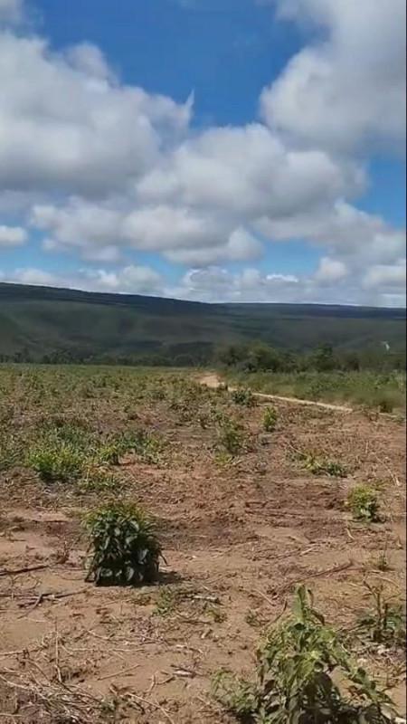 Fazenda, Centro, 0 Quarto, 0 Vaga