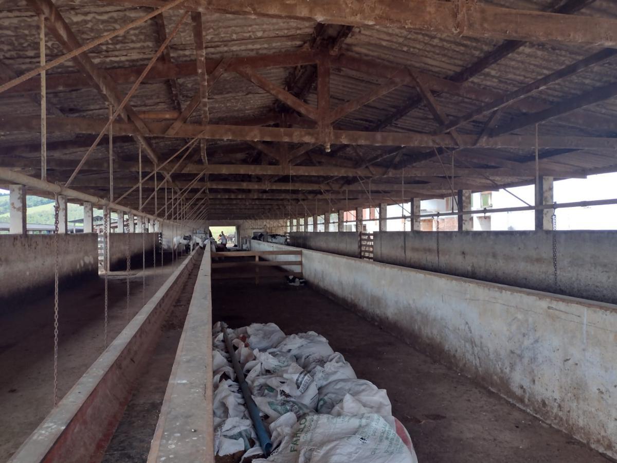 Fazenda, Centro, 3 Quartos, 1 Vaga