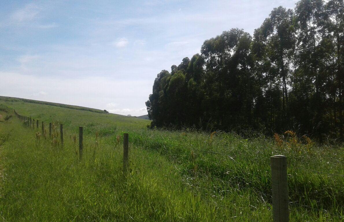 Fazenda, Centro, 1 Quarto, 1 Vaga, 1 Suíte