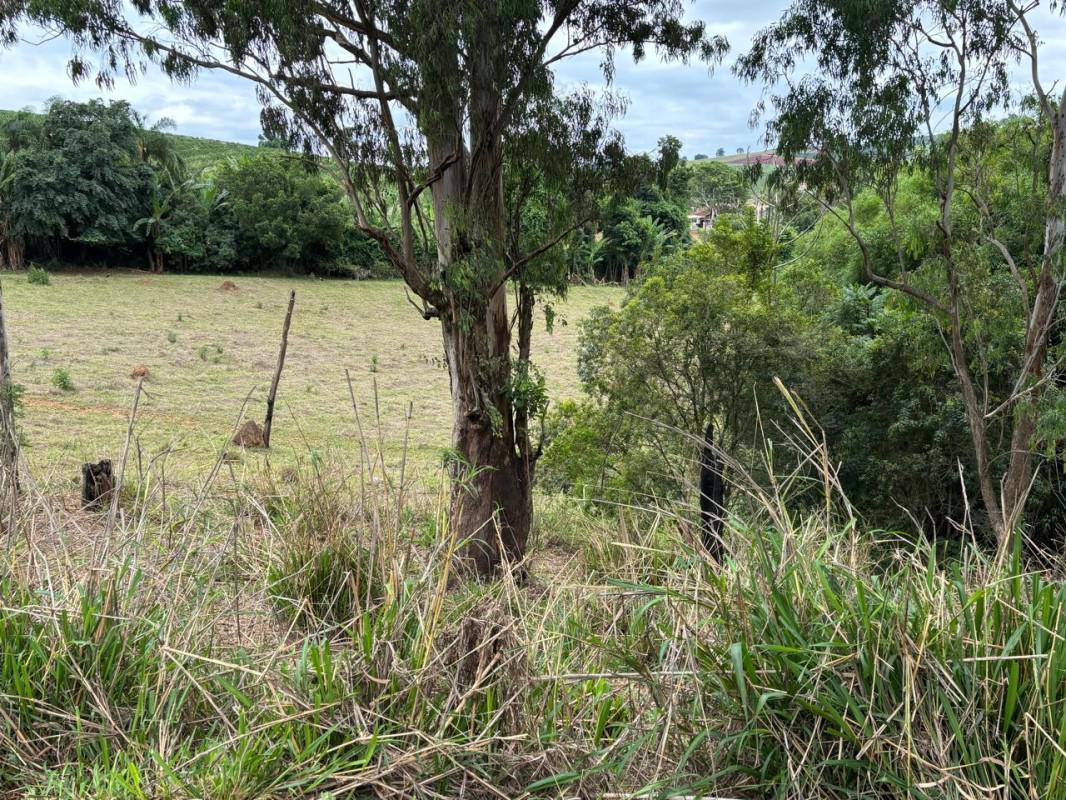 Fazenda, Zona Rural, 0 Quarto, 0 Vaga