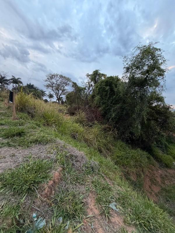 Lote, Liberdade, 0 Quarto, 0 Vaga