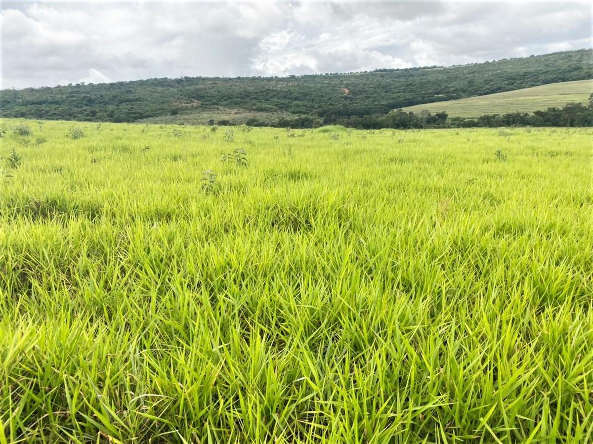 Fazenda, Centro, 4 Quartos, 2 Vagas