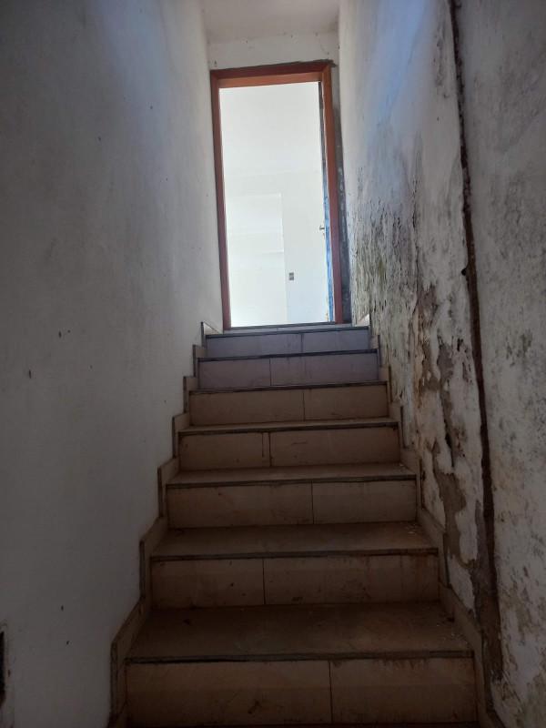Lote, São João, 0 Quarto, 0 Vaga