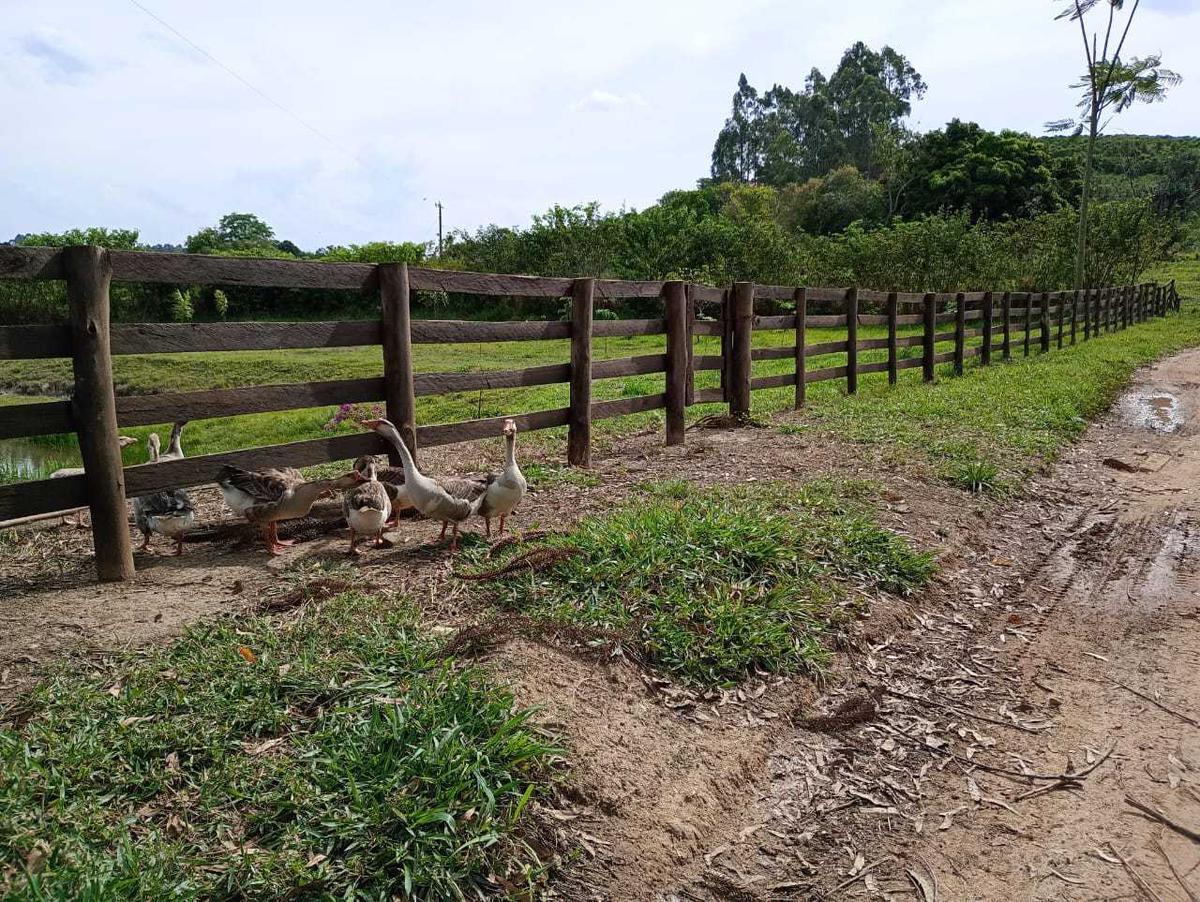 Fazenda, Zona Rural, 1 Quarto, 0 Vaga