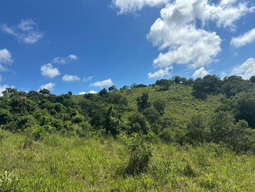 Fazenda, Centro, 0 Quarto, 0 Vaga