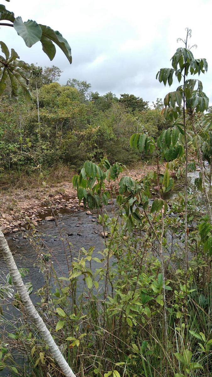 Lote, Zona Rural, 0 Quarto, 0 Vaga