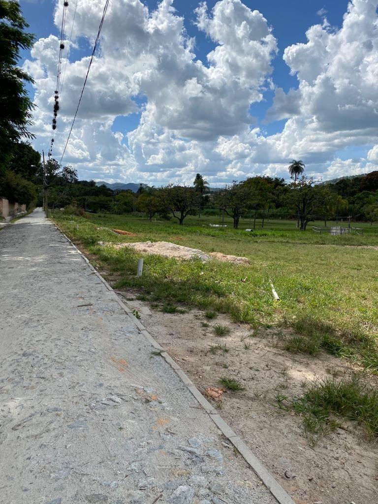 Lote, Novo Horizonte