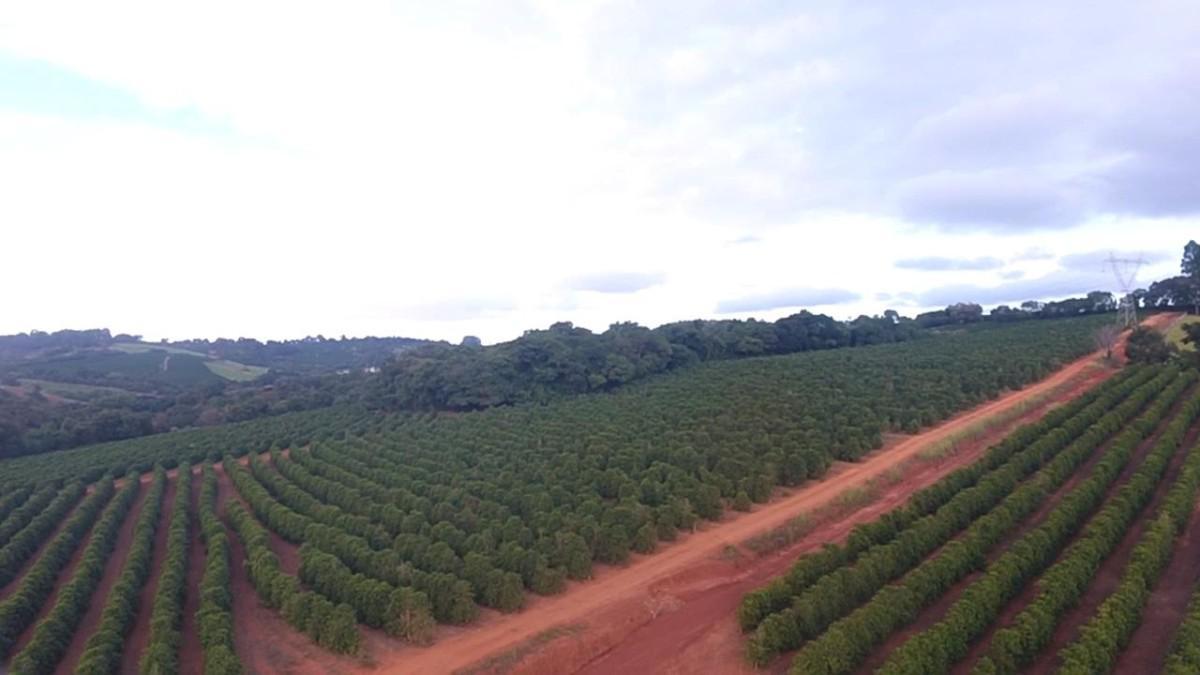 Fazenda, Zona Rural, 0 Quarto, 0 Vaga