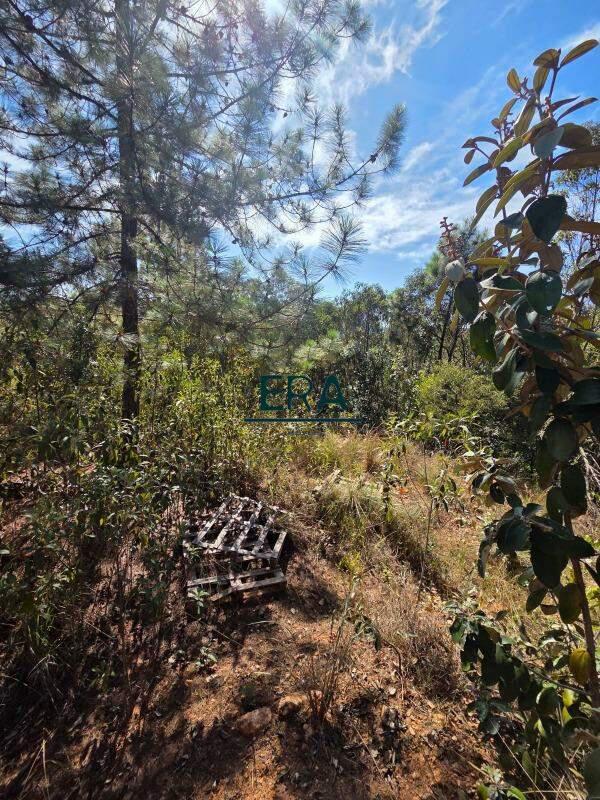 Lote, Village Sans Souci, 0 Quarto, 0 Vaga