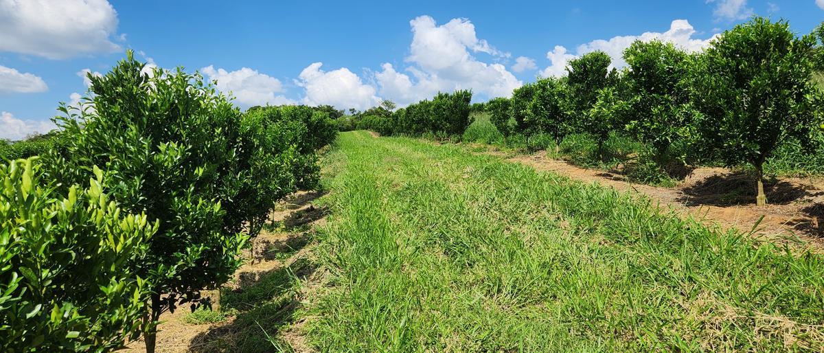 Fazenda, Zona Rural, 3 Quartos, 2 Vagas, 1 Suíte