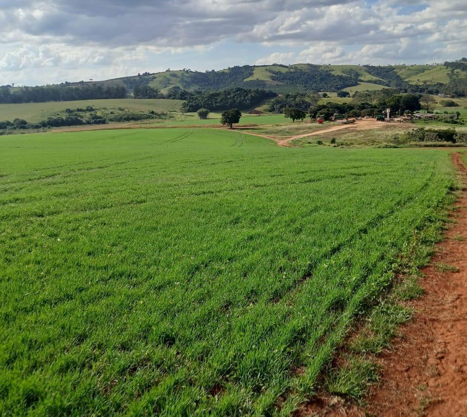Fazenda, Zona Rural, 3 Quartos, 0 Vaga