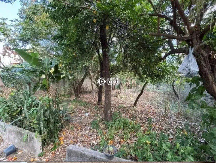 Casa, Santa Amélia, 3 Quartos, 2 Vagas